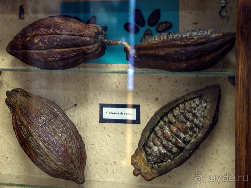 Бельгия и Конго