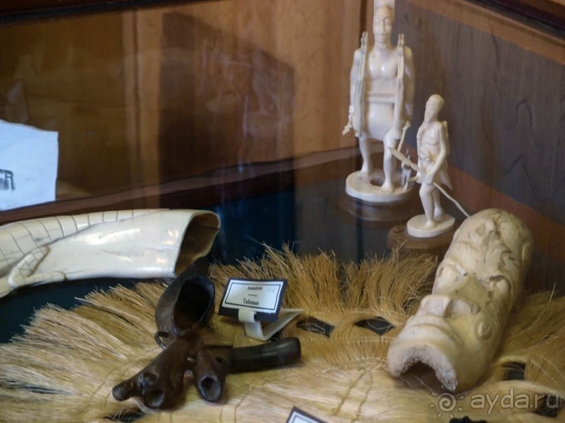 Бельгия и Конго