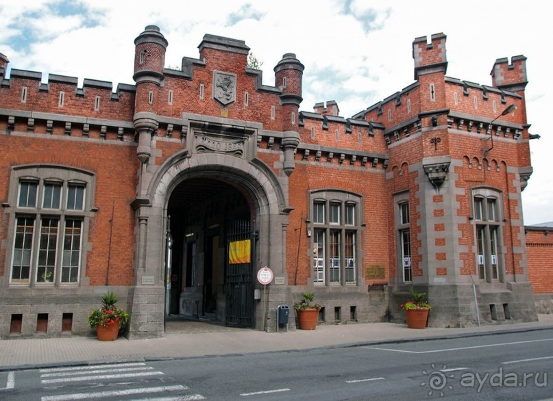 Бельгия и Конго