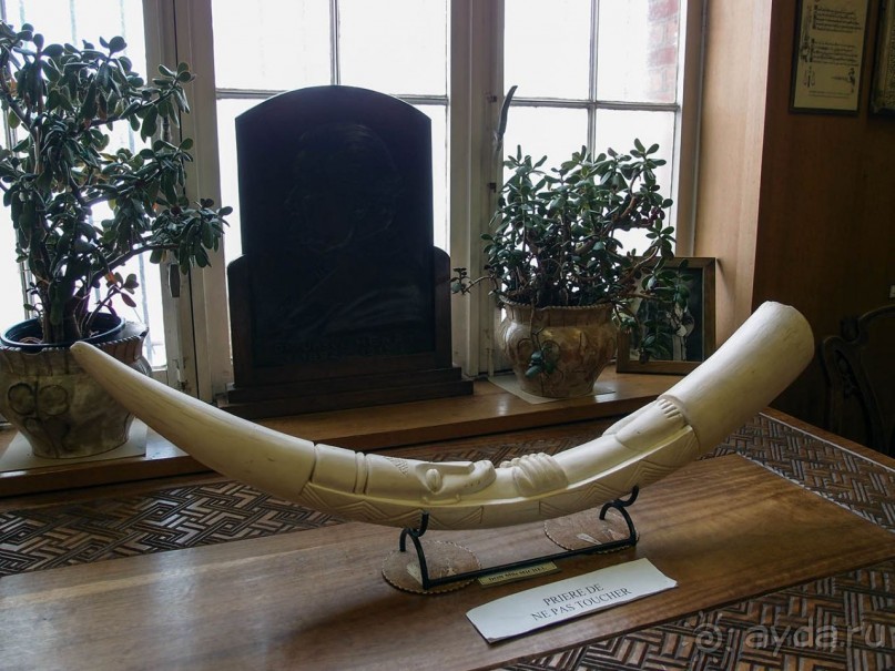 Бельгия и Конго