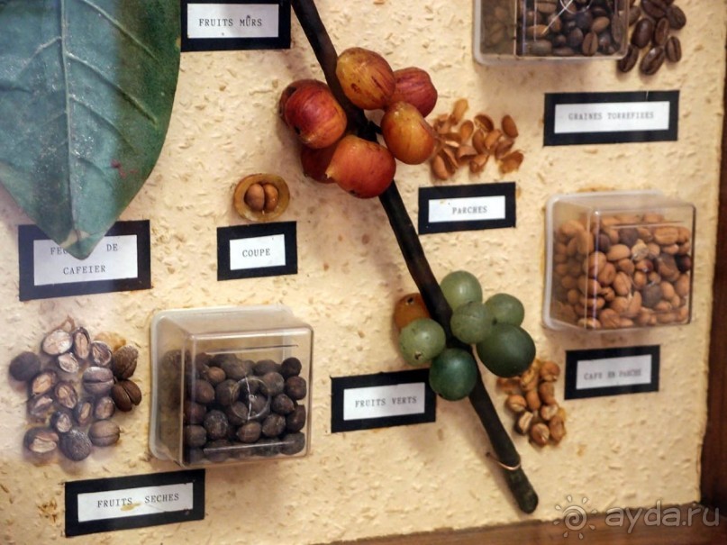 Бельгия и Конго