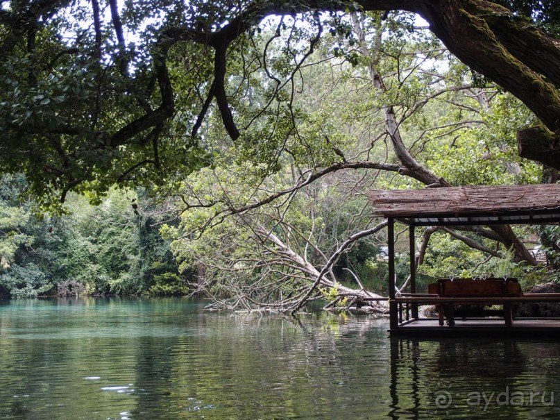 Светлые воды Свети Наума