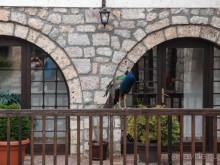 Светлые воды Свети Наума