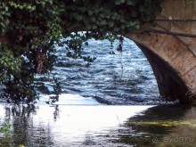 Светлые воды Свети Наума