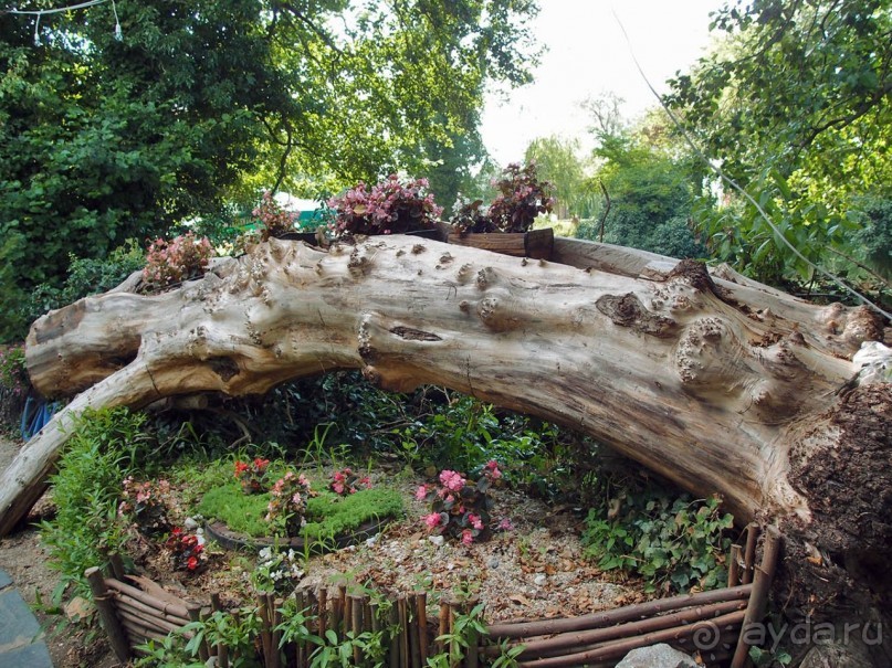 Светлые воды Свети Наума