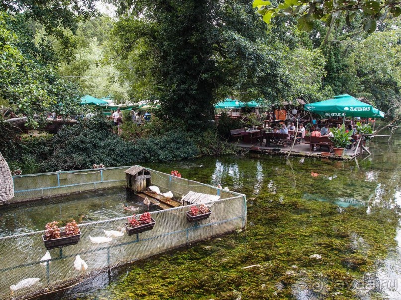 Светлые воды Свети Наума