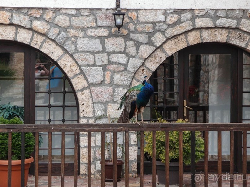 Светлые воды Свети Наума