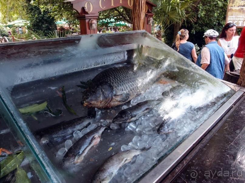 Светлые воды Свети Наума