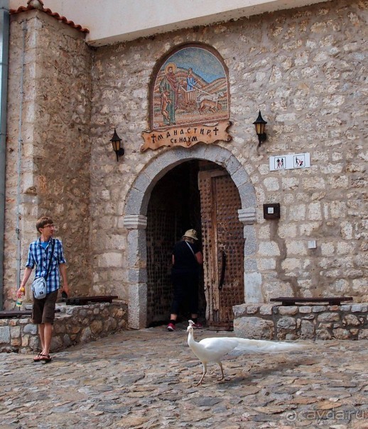 Светлые воды Свети Наума