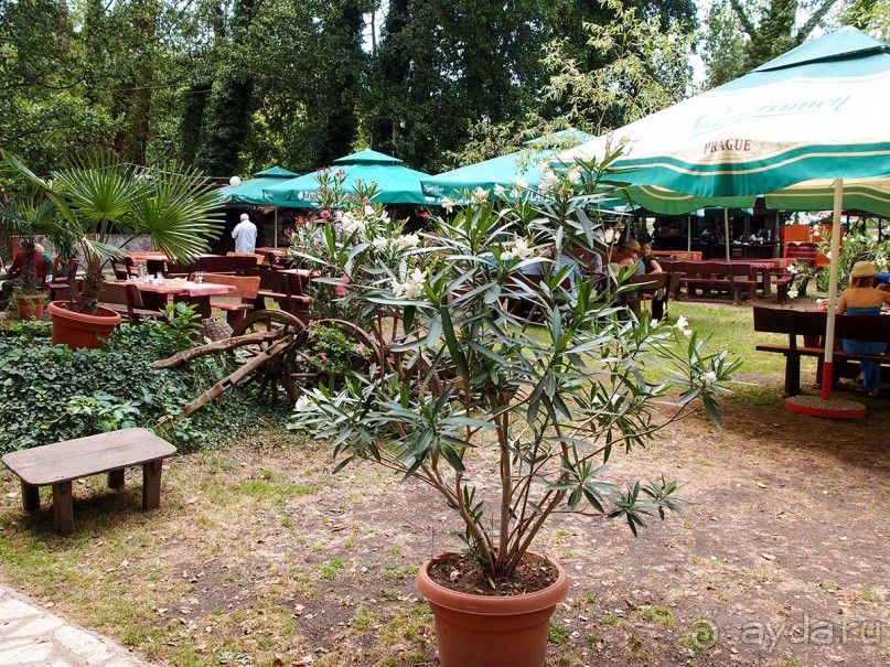 Светлые воды Свети Наума