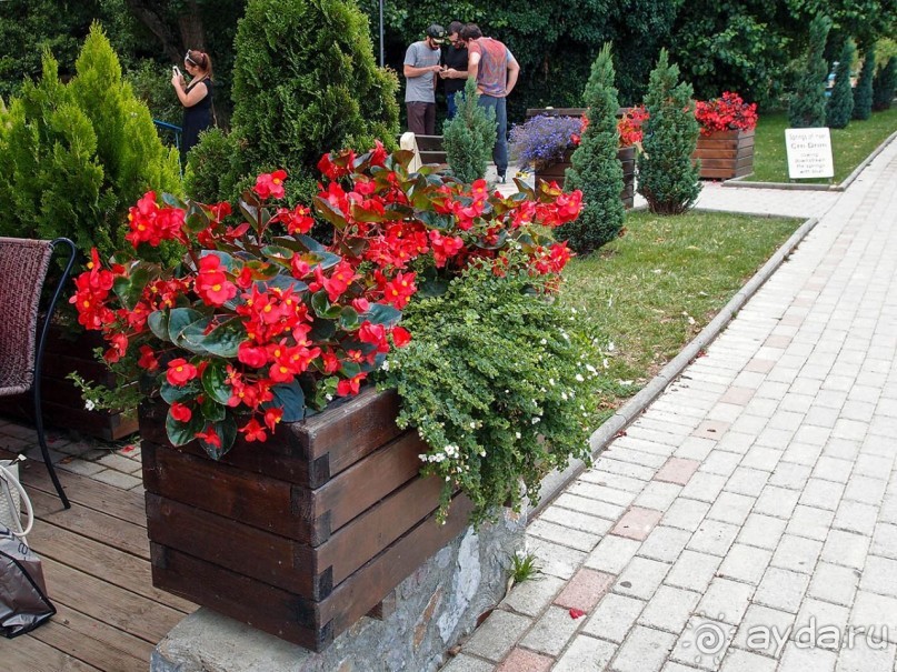 Светлые воды Свети Наума