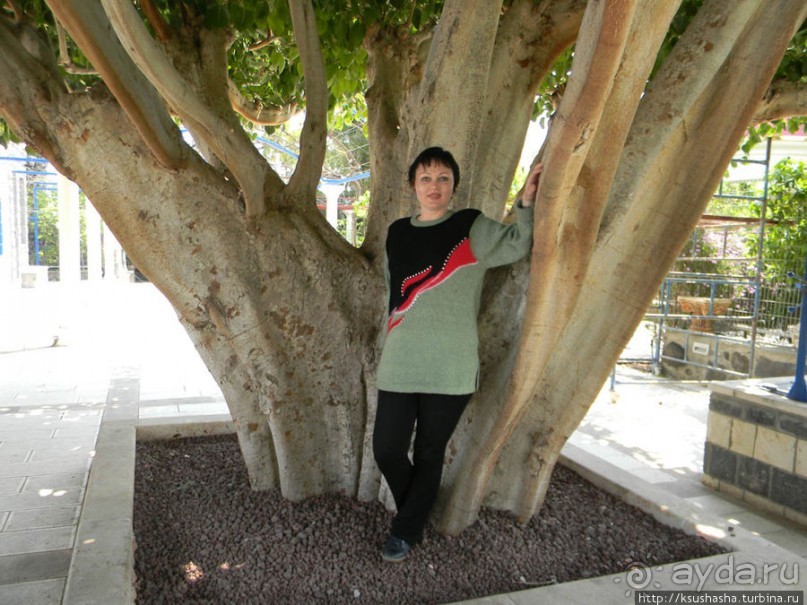 Двенадцать красных куполов