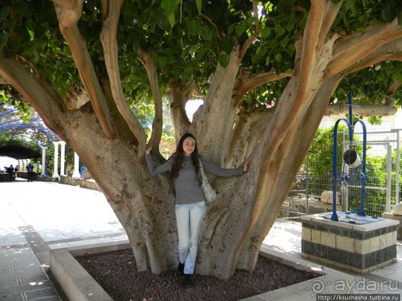 Двенадцать красных куполов