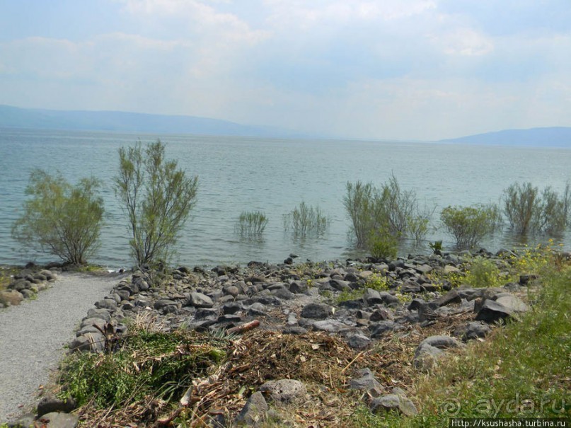 Двенадцать красных куполов