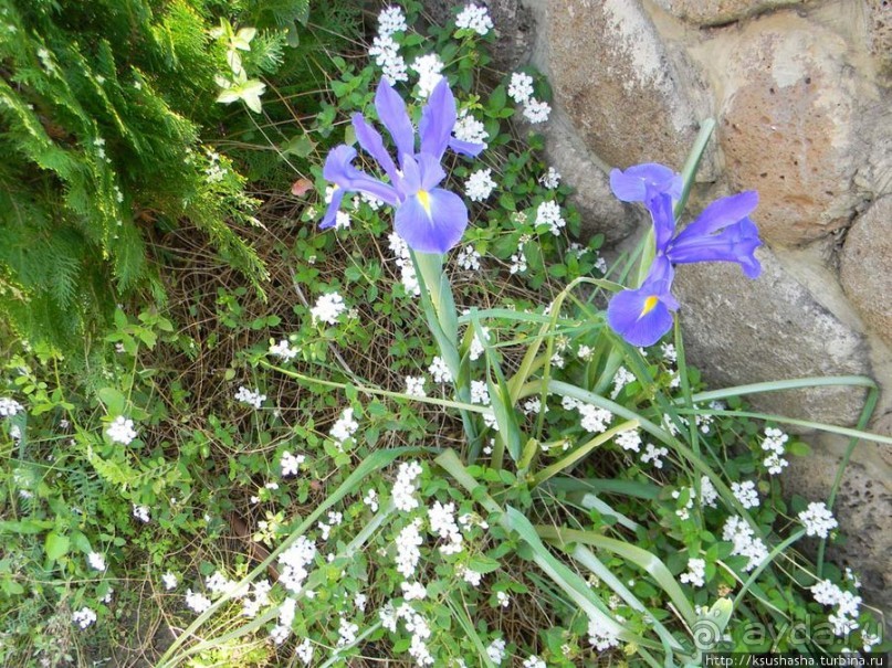 Двенадцать красных куполов