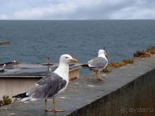 Где настоящий край Земли?