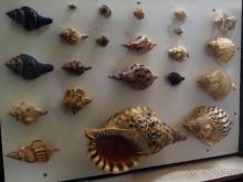 Где настоящий край Земли?