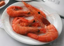 Где настоящий край Земли?