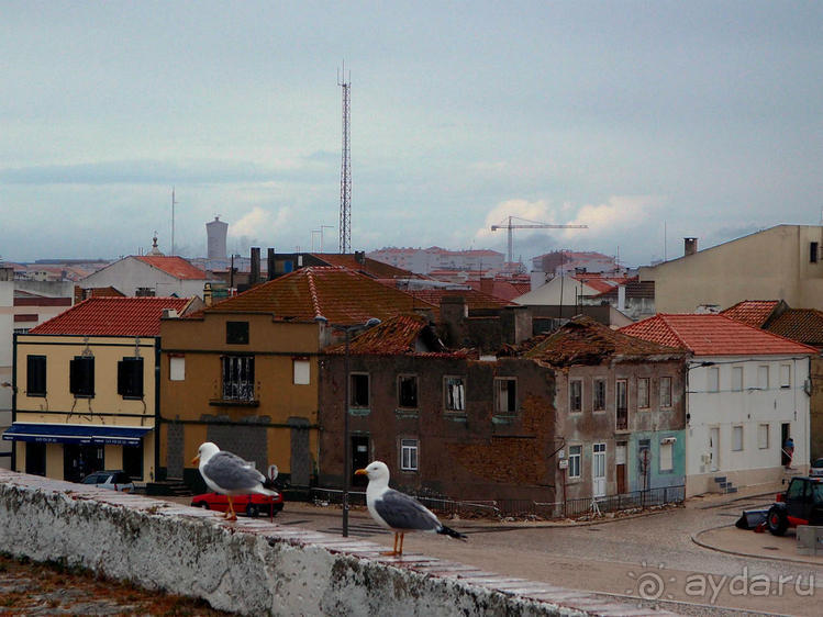 Где настоящий край Земли?