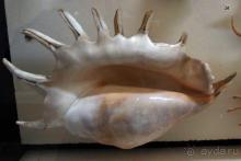 Где настоящий край Земли?