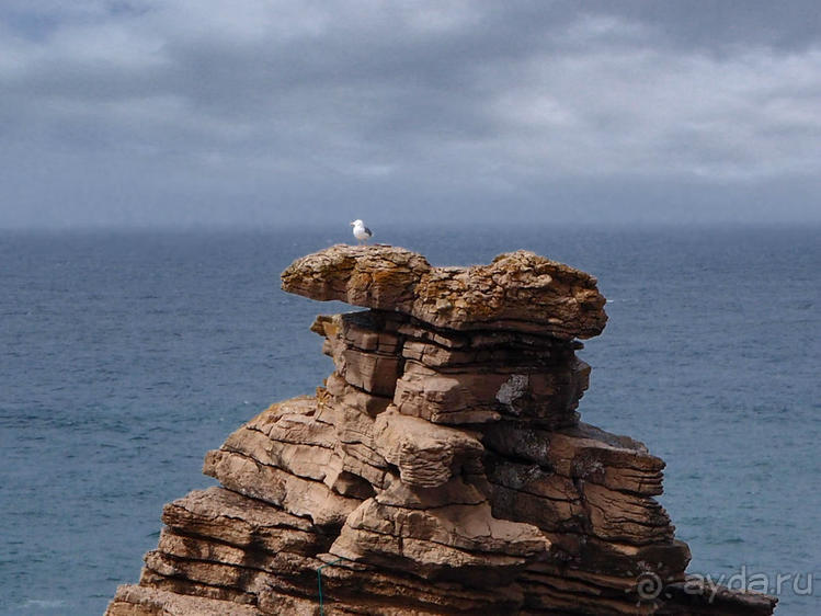 Где настоящий край Земли?