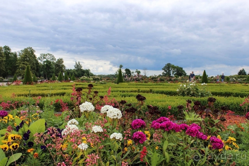 Прекраснейший из дворцов Латвии