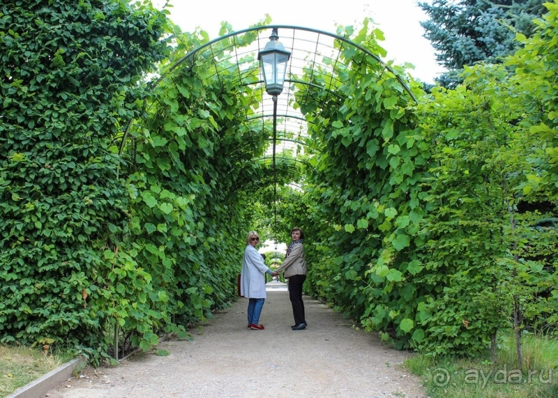 Прекраснейший из дворцов Латвии