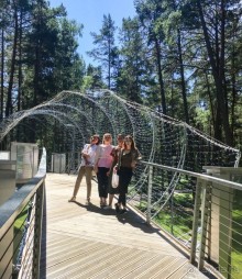 Деревянное кружево Юрмалы