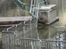 Ярденит на реке Иордан