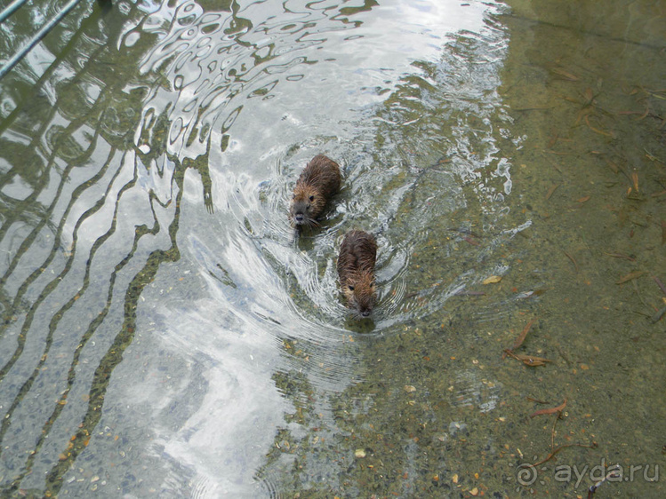 Ярденит на реке Иордан