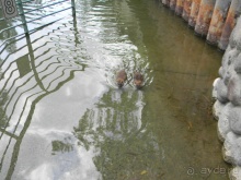 Ярденит на реке Иордан