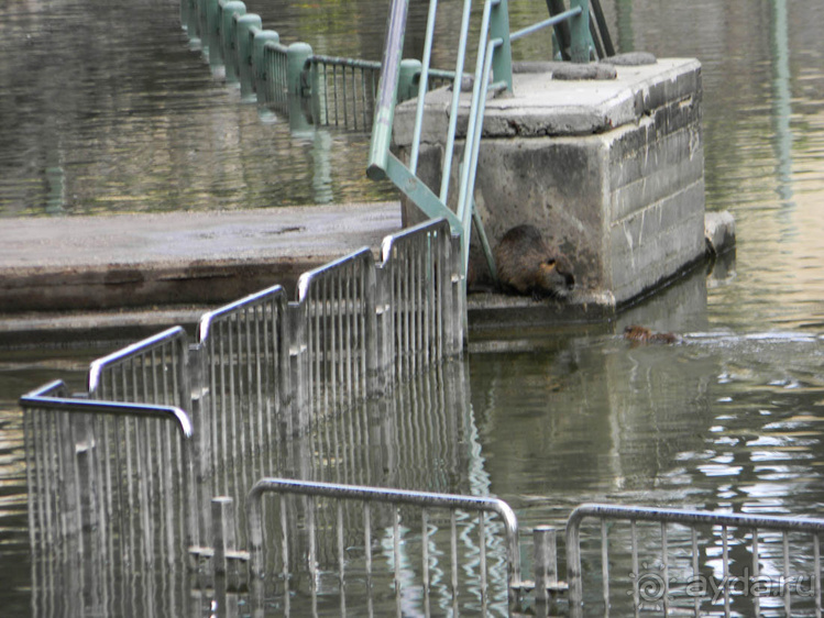 Ярденит на реке Иордан