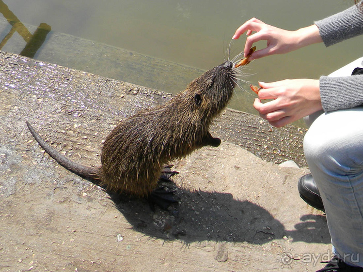 Ярденит на реке Иордан