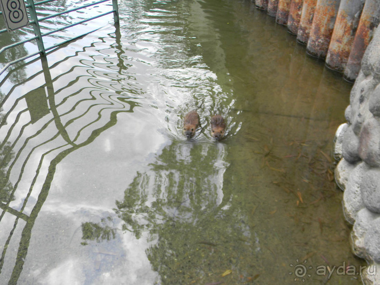 Ярденит на реке Иордан