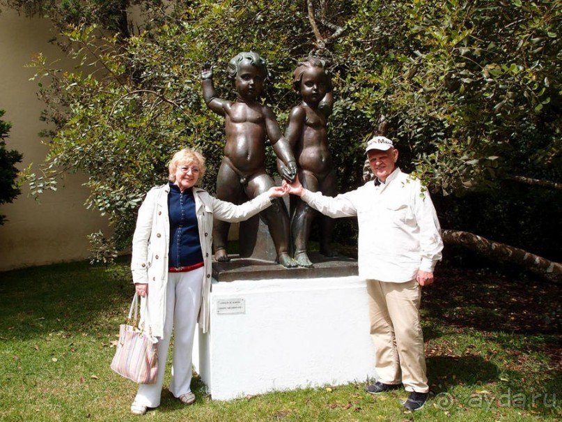 Зелёная майолика Калдаш-да-Раиньи