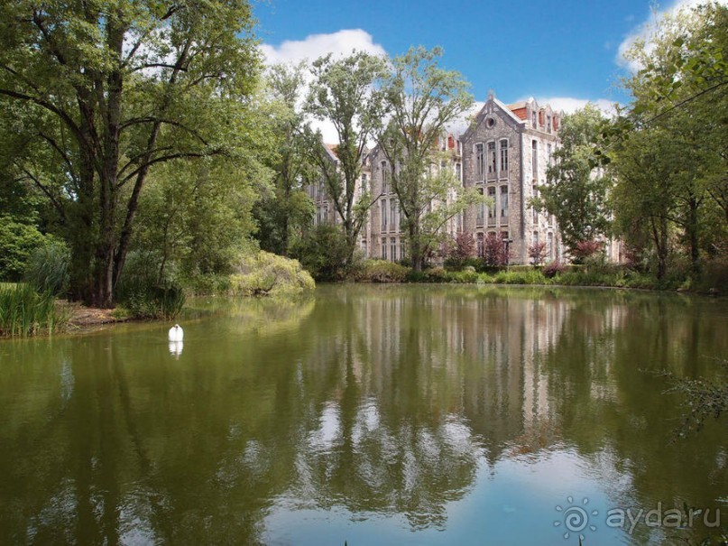 Зелёная майолика Калдаш-да-Раиньи