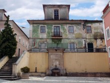 Зелёная майолика Калдаш-да-Раиньи