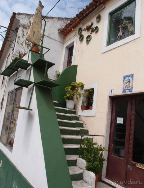 Зелёная майолика Калдаш-да-Раиньи