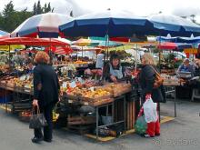 Зелёная майолика Калдаш-да-Раиньи