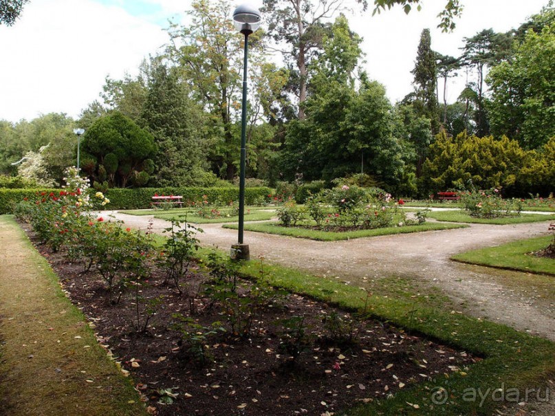 Зелёная майолика Калдаш-да-Раиньи