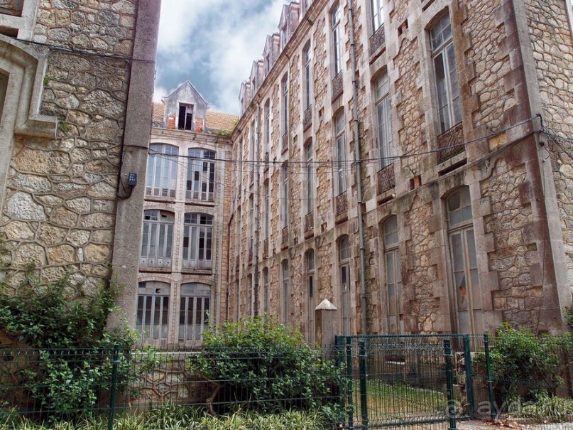 Зелёная майолика Калдаш-да-Раиньи