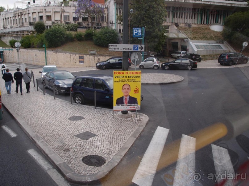 Зелёная майолика Калдаш-да-Раиньи