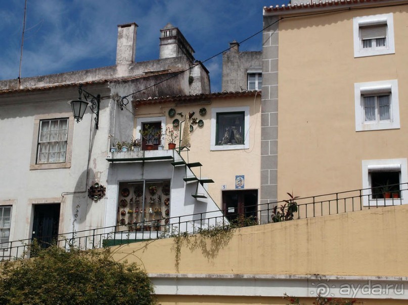 Зелёная майолика Калдаш-да-Раиньи