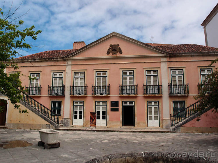 Зелёная майолика Калдаш-да-Раиньи