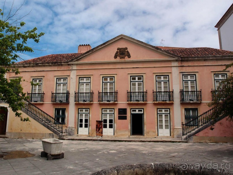 Зелёная майолика Калдаш-да-Раиньи