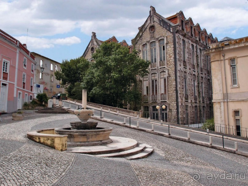 Зелёная майолика Калдаш-да-Раиньи