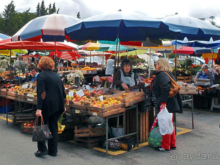 Зелёная майолика Калдаш-да-Раиньи