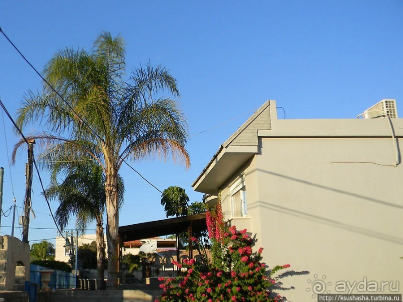 Черкесская деревня в горах Галилеи
