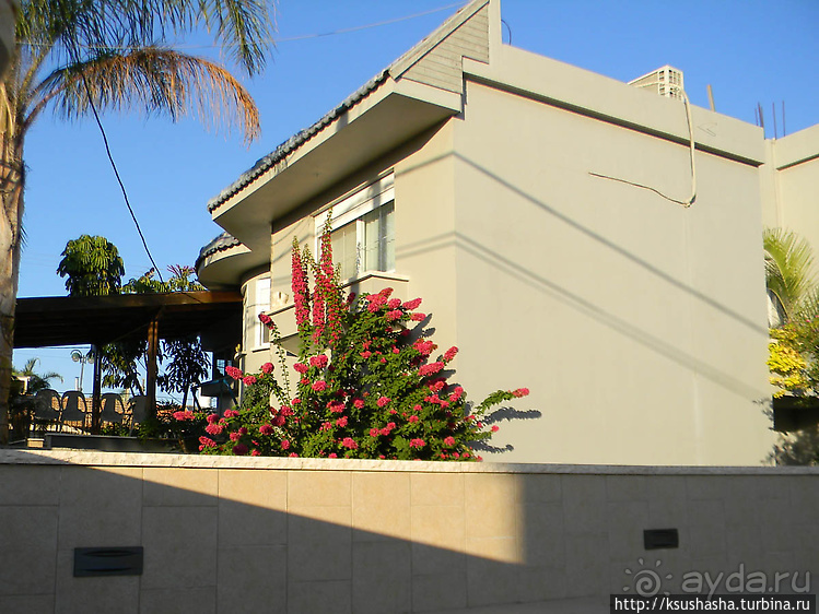 Черкесская деревня в горах Галилеи