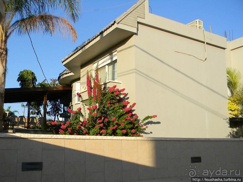 Черкесская деревня в горах Галилеи